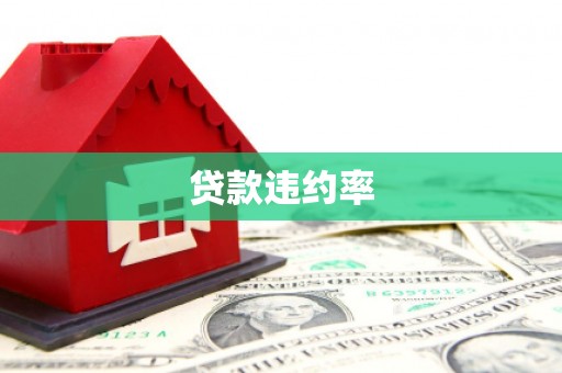 泸溪贷款违约率