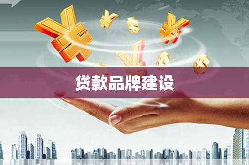 泸溪贷款品牌建设