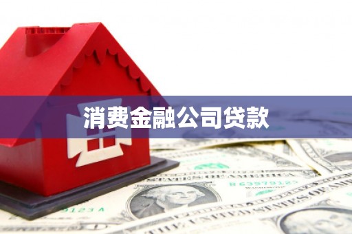 泸溪消费金融公司贷款