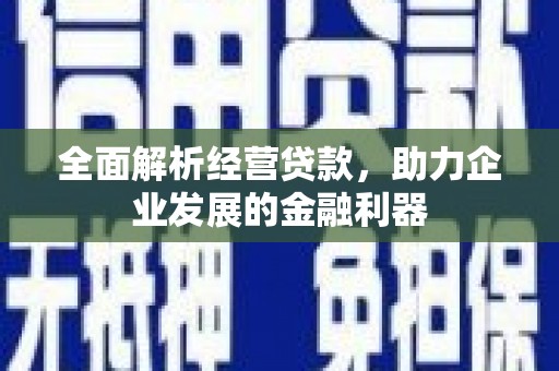 泸溪全面解析经营贷款，助力企业发展的金融利器