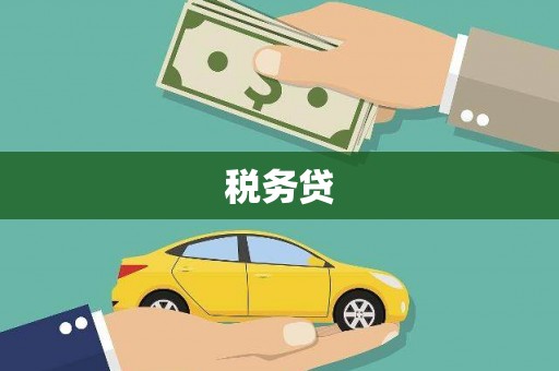 泸溪税务贷