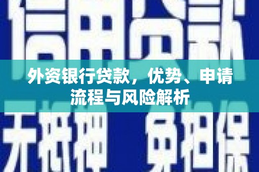 泸溪外资银行贷款，优势、申请流程与风险解析