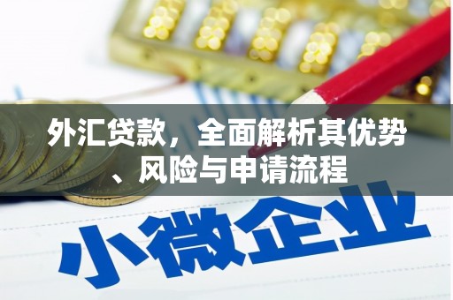 泸溪外汇贷款，全面解析其优势、风险与申请流程