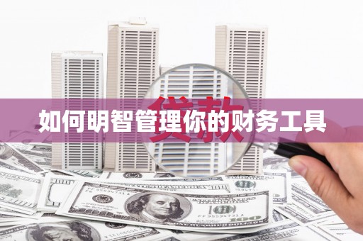 泸溪如何明智管理你的财务工具