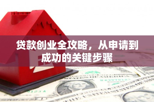 泸溪贷款创业全攻略，从申请到成功的关键步骤
