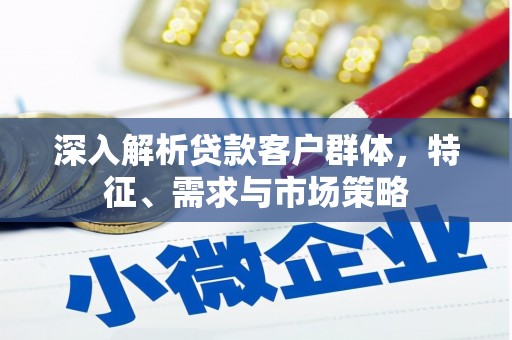 泸溪深入解析贷款客户群体，特征、需求与市场策略