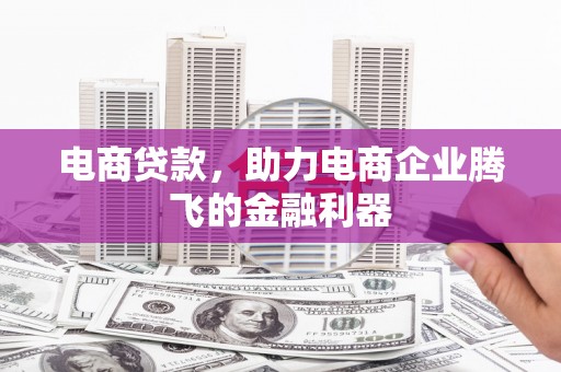 泸溪电商贷款，助力电商企业腾飞的金融利器