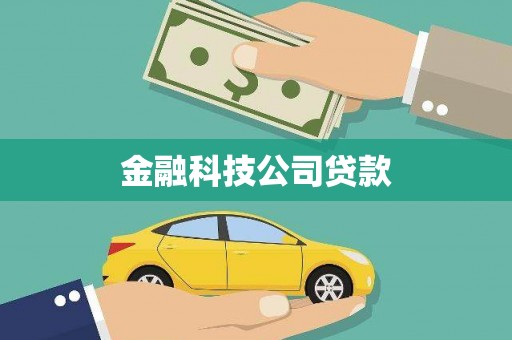 泸溪金融科技公司贷款
