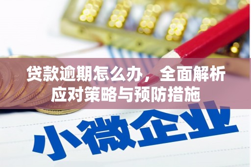 泸溪贷款逾期怎么办，全面解析应对策略与预防措施