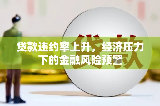 泸溪贷款违约率上升，经济压力下的金融风险预警