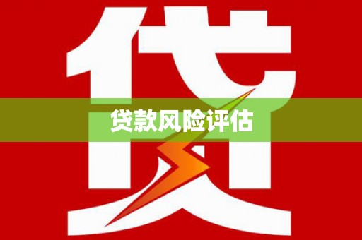 泸溪贷款风险评估