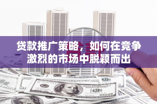 泸溪贷款推广策略，如何在竞争激烈的市场中脱颖而出