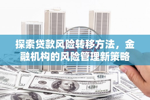 泸溪探索贷款风险转移方法，金融机构的风险管理新策略