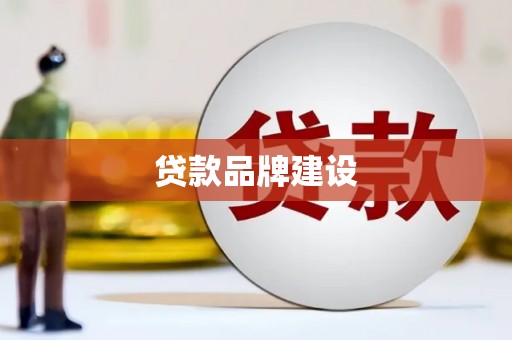 泸溪贷款品牌建设