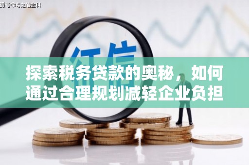 泸溪探索税务贷款的奥秘，如何通过合理规划减轻企业负担