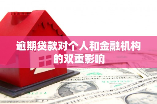 泸溪逾期贷款对个人和金融机构的双重影响