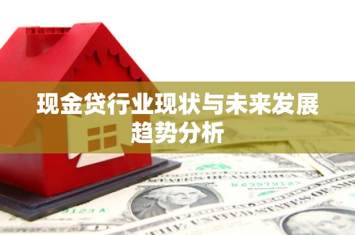 泸溪现金贷行业现状与未来发展趋势分析