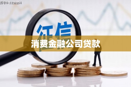 泸溪消费金融公司贷款