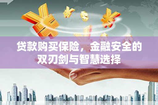 泸溪贷款购买保险，金融安全的双刃剑与智慧选择