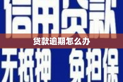 泸溪贷款逾期怎么办