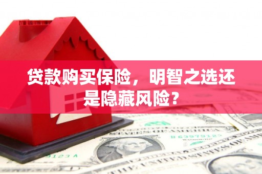 泸溪贷款购买保险，明智之选还是隐藏风险？