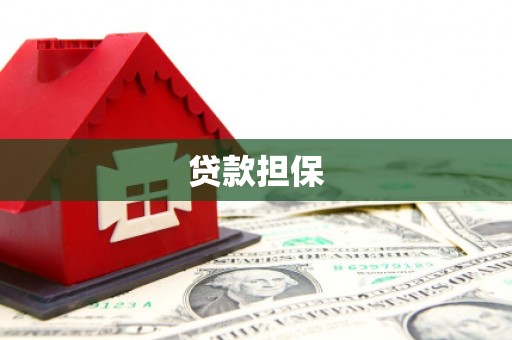 泸溪贷款担保