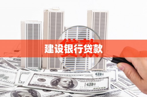 泸溪建设银行贷款