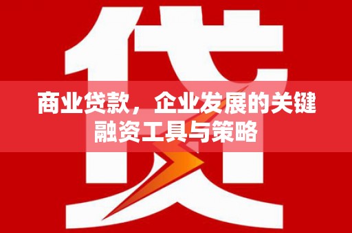 泸溪商业贷款，企业发展的关键融资工具与策略