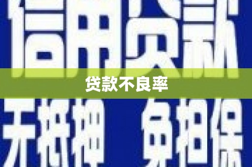 泸溪贷款不良率