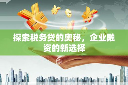 泸溪探索税务贷的奥秘，企业融资的新选择