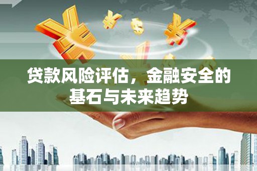 泸溪贷款风险评估，金融安全的基石与未来趋势