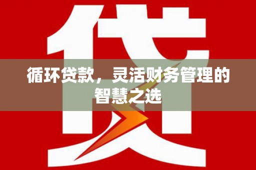泸溪循环贷款，灵活财务管理的智慧之选