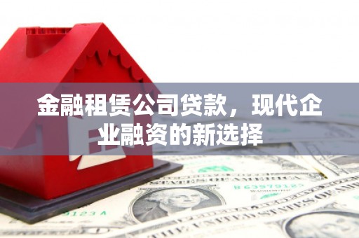 泸溪金融租赁公司贷款，现代企业融资的新选择