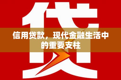 泸溪信用贷款，现代金融生活中的重要支柱