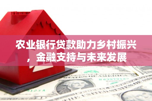 泸溪农业银行贷款助力乡村振兴，金融支持与未来发展