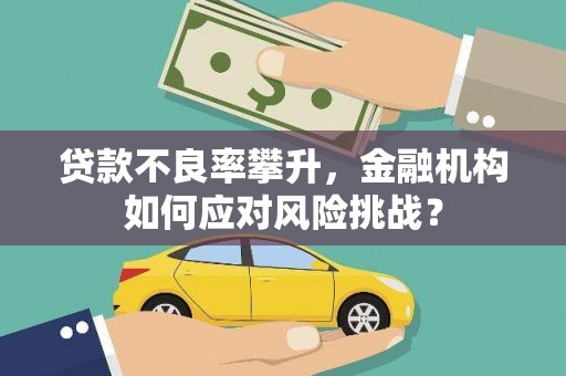 泸溪贷款不良率攀升，金融机构如何应对风险挑战？
