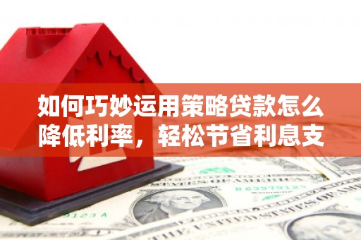 泸溪如何巧妙运用策略贷款怎么降低利率，轻松节省利息支出