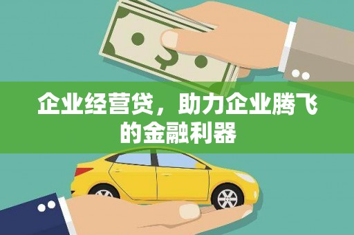 泸溪企业经营贷，助力企业腾飞的金融利器