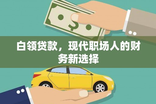 泸溪白领贷款，现代职场人的财务新选择