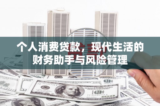 泸溪个人消费贷款，现代生活的财务助手与风险管理