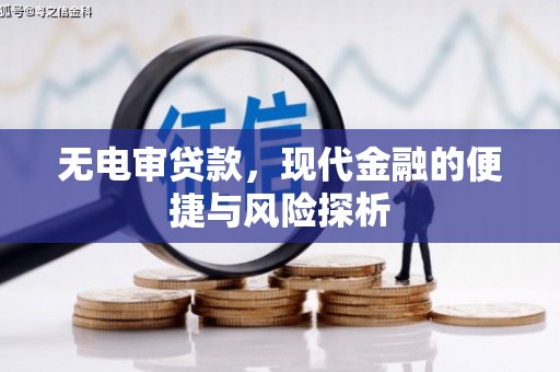泸溪无电审贷款，现代金融的便捷与风险探析