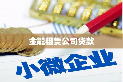 泸溪金融租赁公司贷款