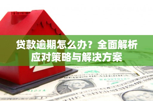 泸溪贷款逾期怎么办？全面解析应对策略与解决方案