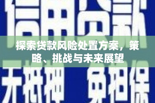 泸溪探索贷款风险处置方案，策略、挑战与未来展望