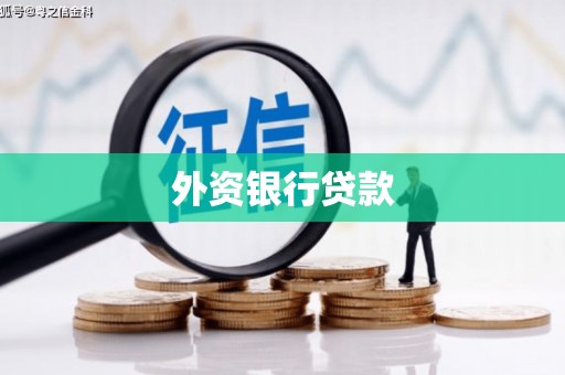 泸溪外资银行贷款