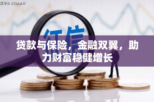 泸溪贷款与保险，金融双翼，助力财富稳健增长