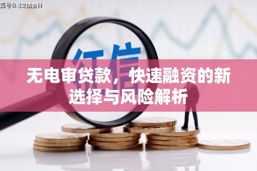 泸溪无电审贷款，快速融资的新选择与风险解析