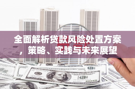 泸溪全面解析贷款风险处置方案，策略、实践与未来展望