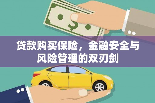 泸溪贷款购买保险，金融安全与风险管理的双刃剑