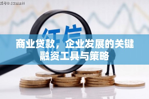 泸溪商业贷款，企业发展的关键融资工具与策略